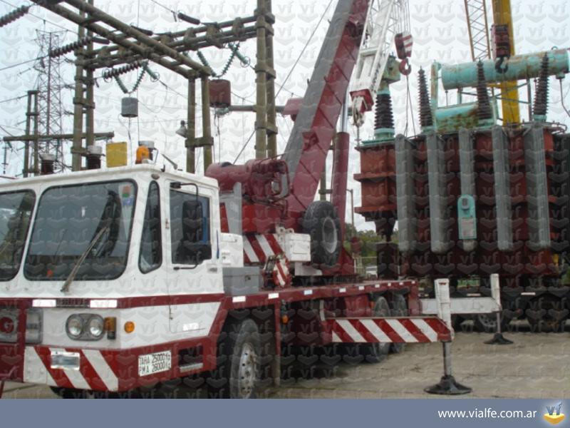 Grúas Grove NS250