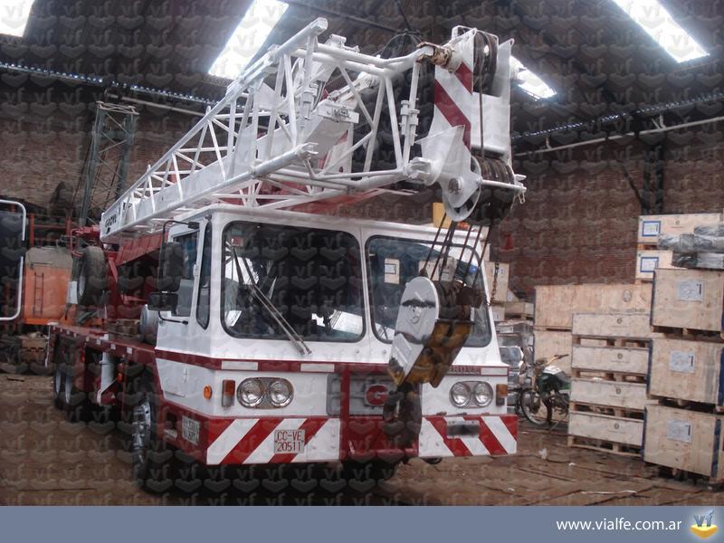 Grúas Grove NS250