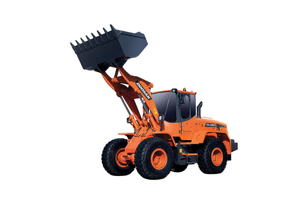 Doosan DL250 1