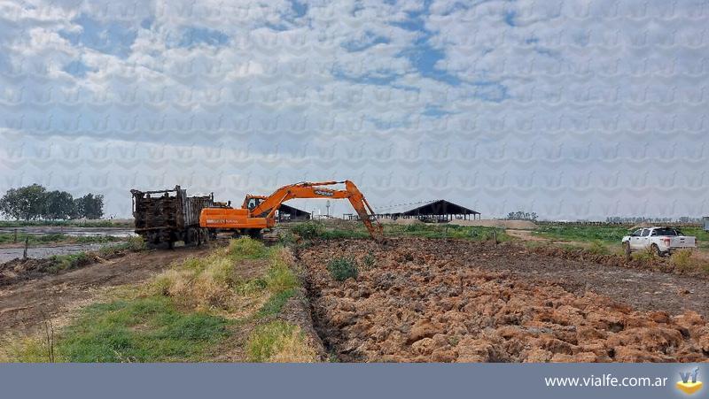 Excavadoras Doosan DX225LCA