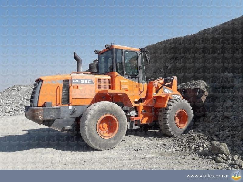 Palas cargadoras Doosan DL250