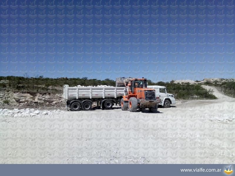 Palas cargadoras Doosan DL250